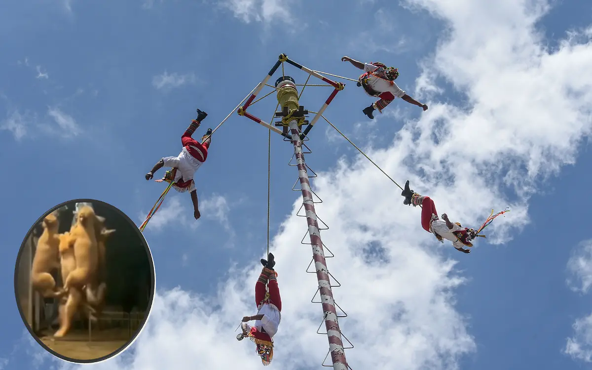 942927_Voladores de Papantla en Toluca -9.jpg _impreso